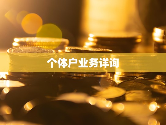 个体户业务详询