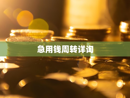 急用钱周转详询