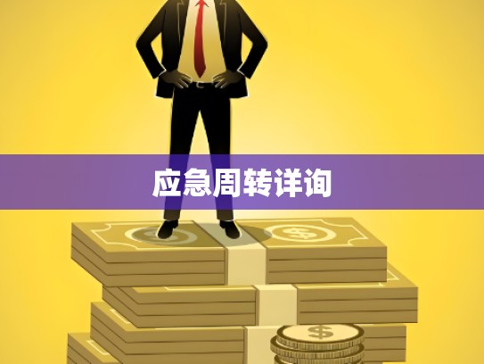 应急周转详询