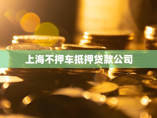 上海不押车抵押贷款公司