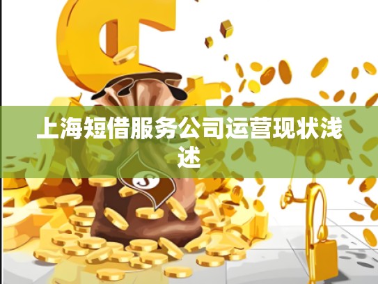 上海短借服务公司运营现状浅述