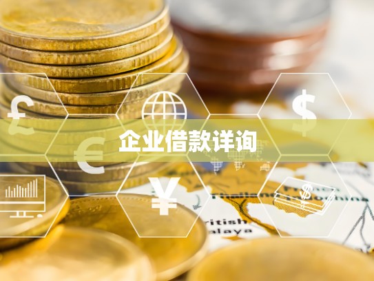 企业借款详询