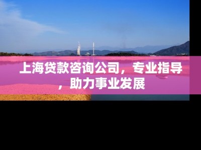 上海贷款咨询公司,专业指导,助力事业发展