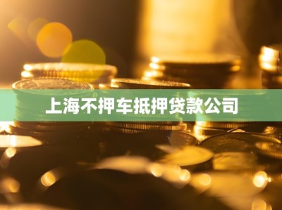 上海不押车抵押贷款公司