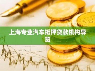 上海专业汽车抵押贷款机构导览